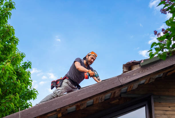 Best Slate Roofing  in Frenchtown, MT